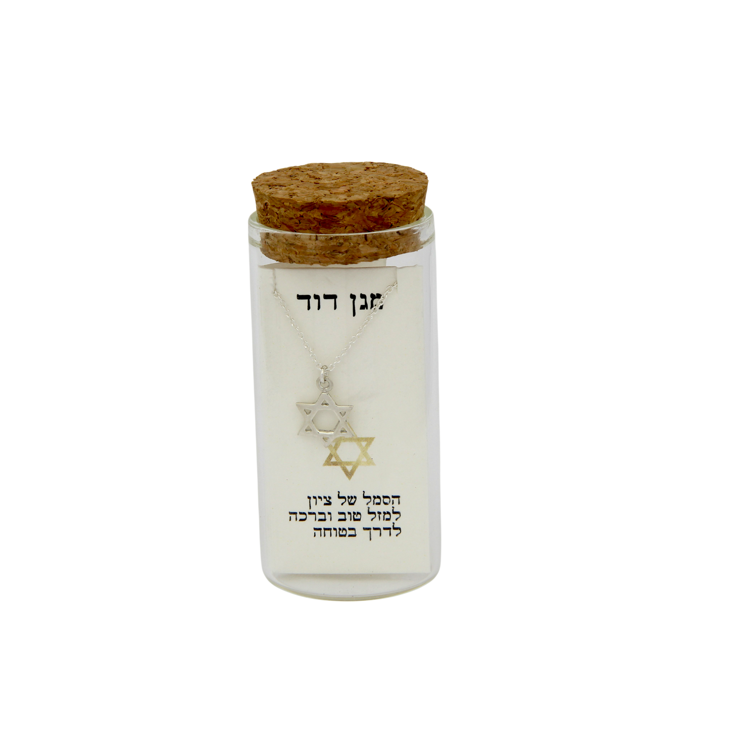 Silver Necklace - Magen David