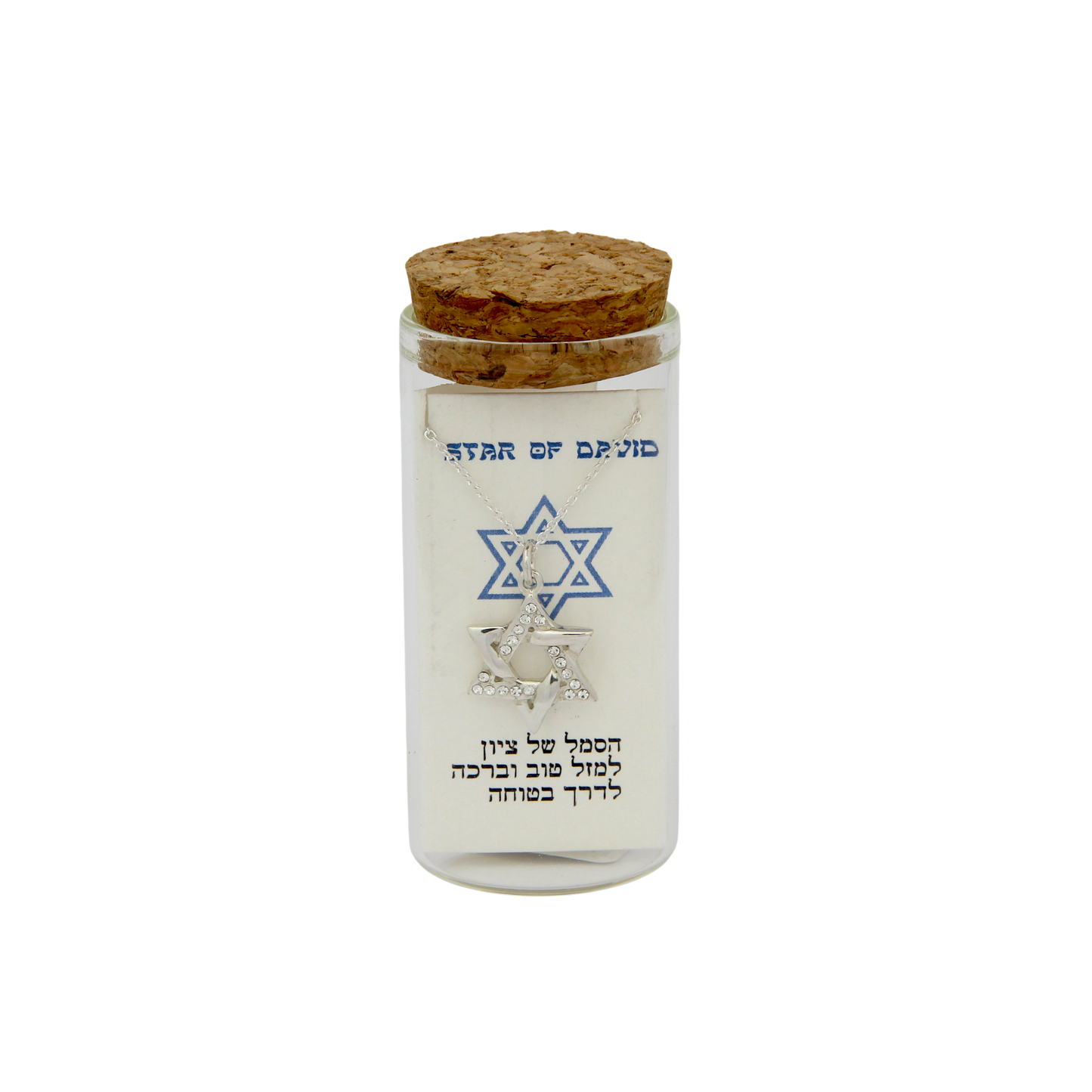 Silver Necklace - Magen David
