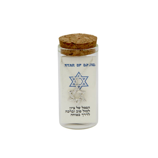 Silver Necklace - Magen David