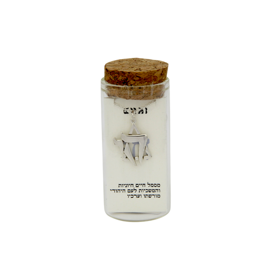 Silver Necklace - Chai