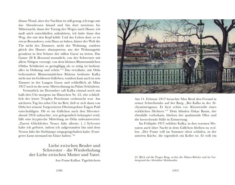 Franz Kafka - Venkovský lékař