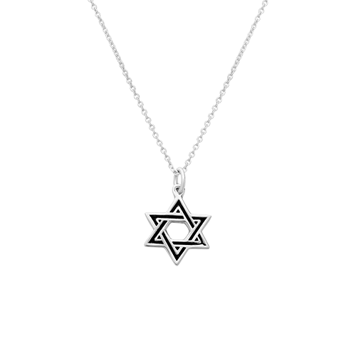 Silver Necklace - Magen David