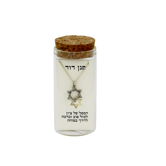 Silver Necklace - Magen David