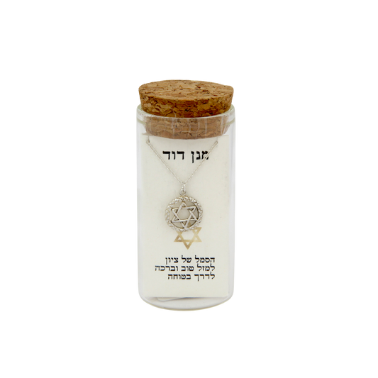 Silver Necklace - Magen David