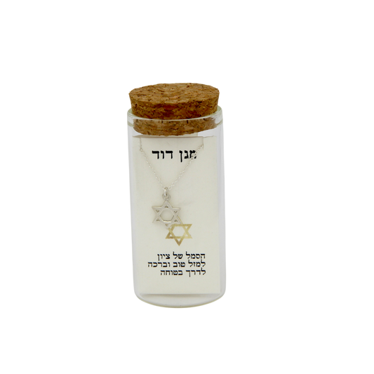 Silver Necklace - Magen David