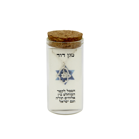 Silver Necklace - Magen David in Hamsa